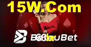 66br App Interface