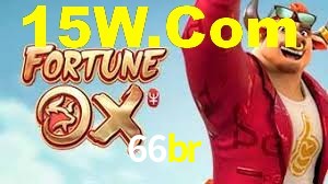 66br.com